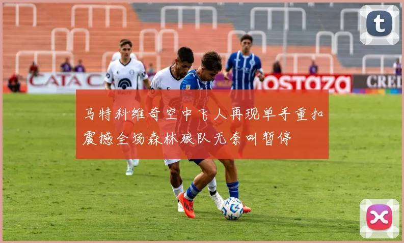 马特科维奇空中飞人再现单手重扣震撼全场森林狼队无奈叫暂停