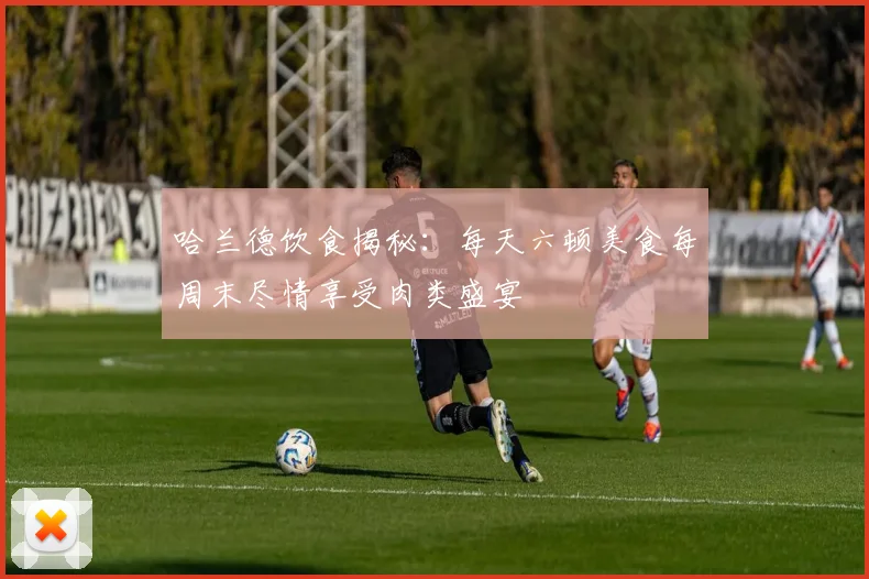 哈兰德饮食揭秘：每天六顿美食每周末尽情享受肉类盛宴