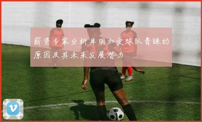 薪资专家分析库明加受球队青睐的原因及其未来发展潜力